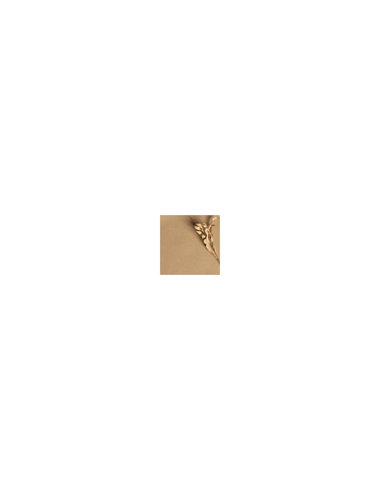 SERVILLETA 40X40 cm AIRLAID GOGREEN (16 paquetes de 50 unidades)