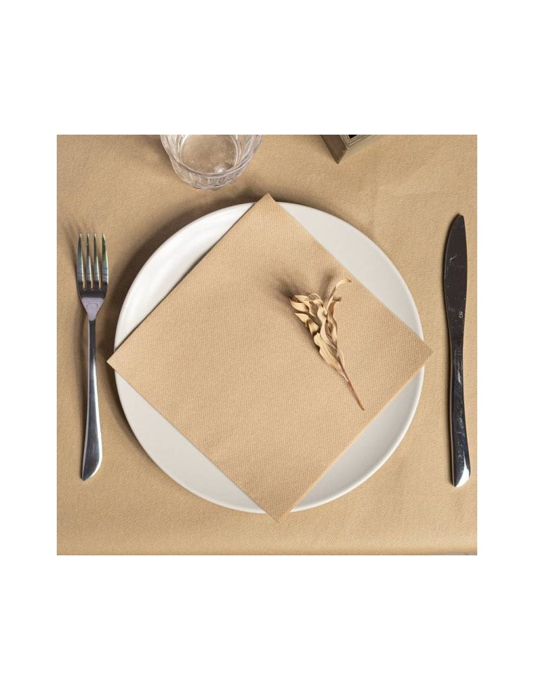 SERVILLETA 40X40 cm AIRLAID GOGREEN (16 paquetes de 50 unidades)
